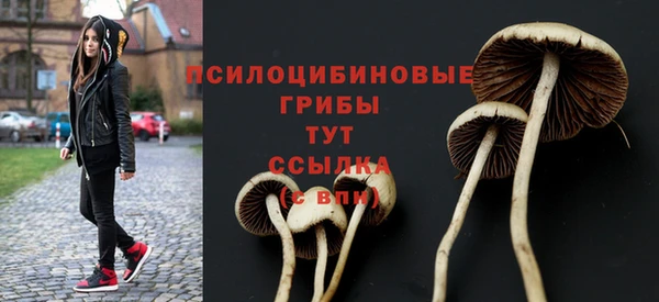 мдпв Волосово