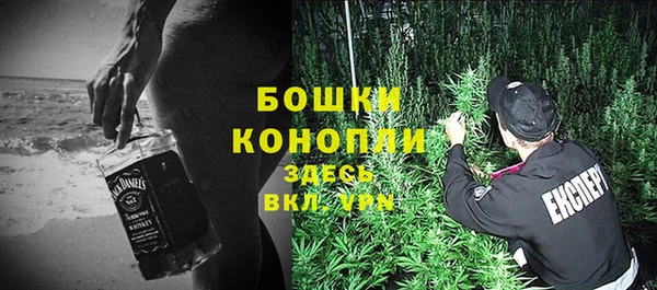 мдпв Волосово