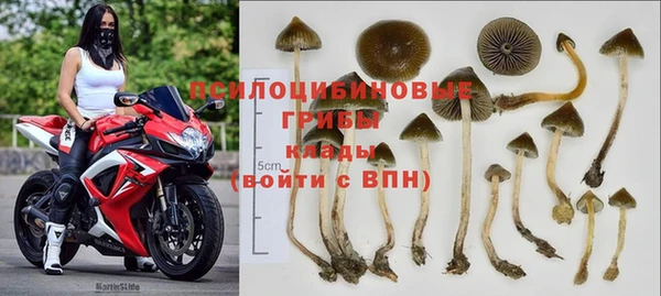 spice Волоколамск