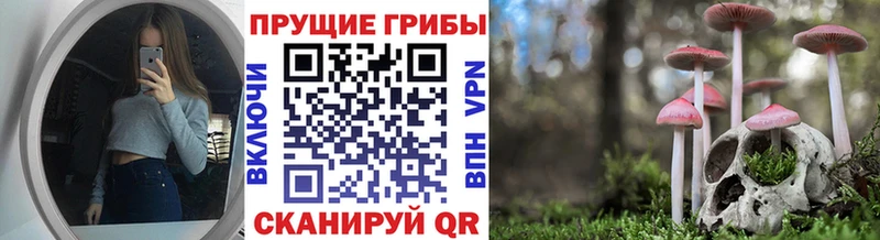 Галлюциногенные грибы Psilocybine cubensis  Лянтор 